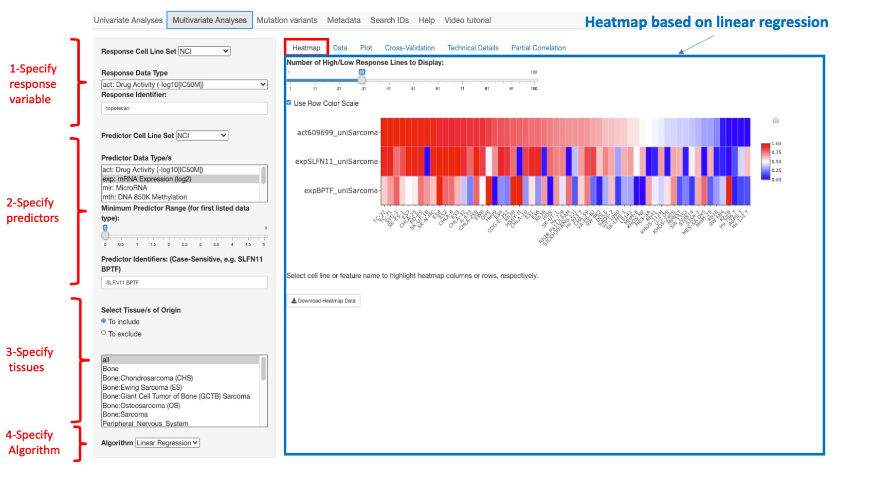 Screenshot of CellMinerCDB Application