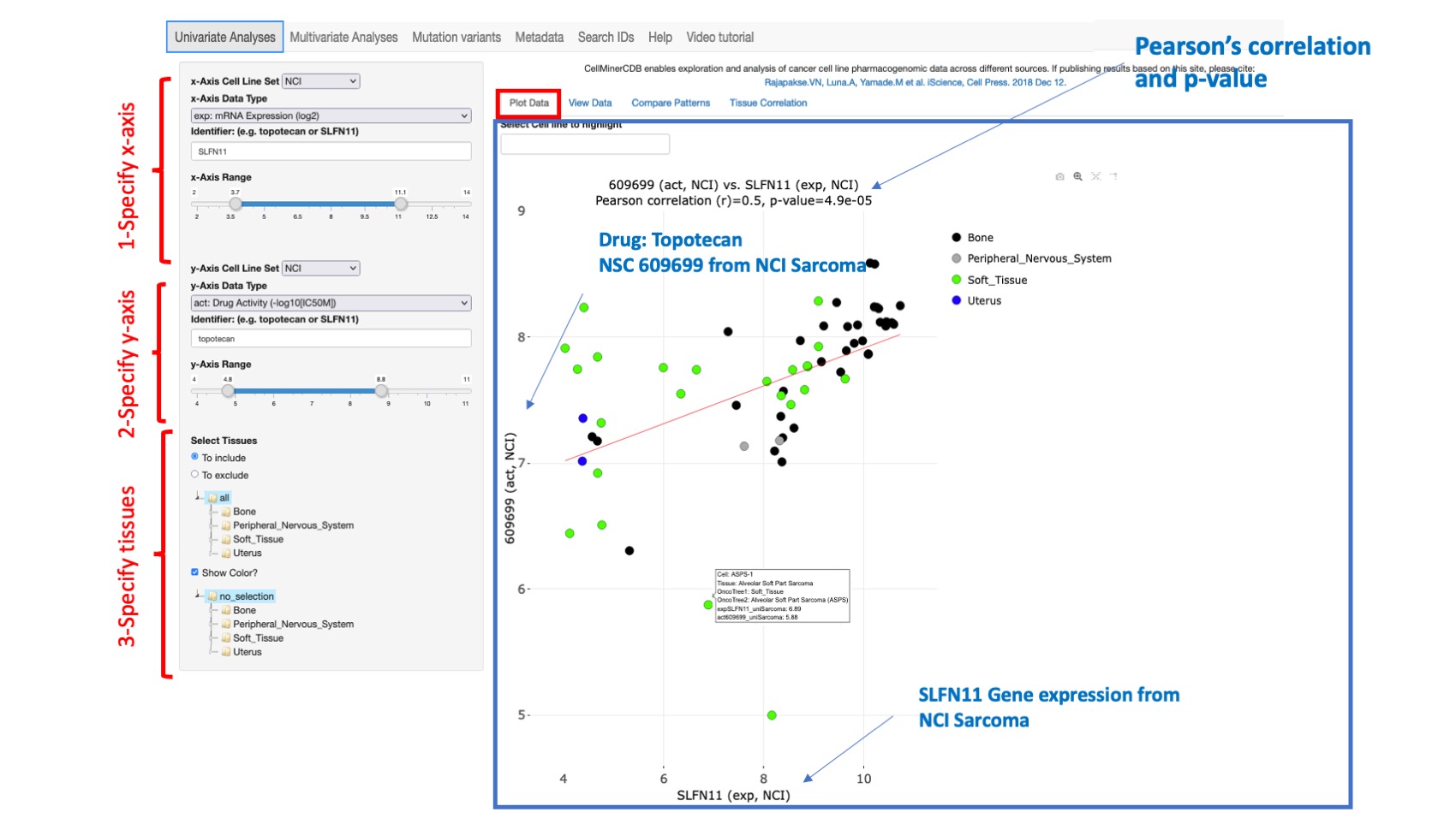 Screenshot of CellMinerCDB Application