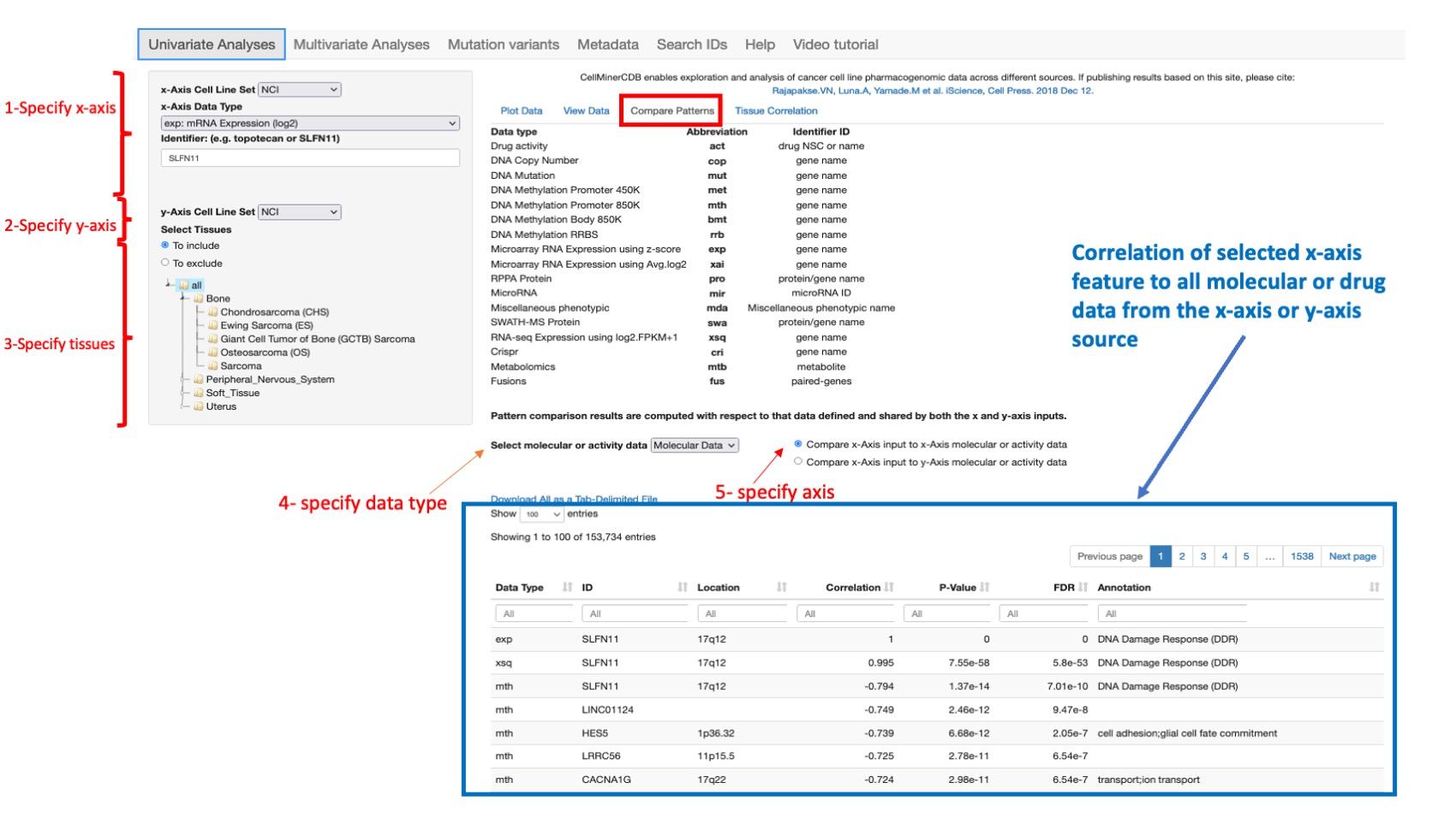 Screenshot of CellMinerCDB Application