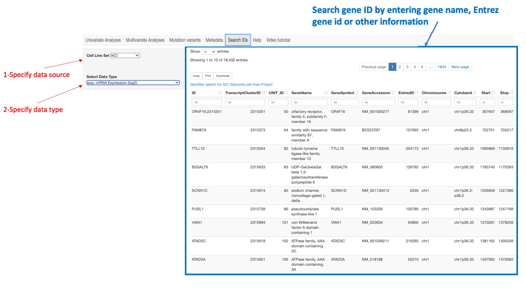 Screenshot of CellMinerCDB Application