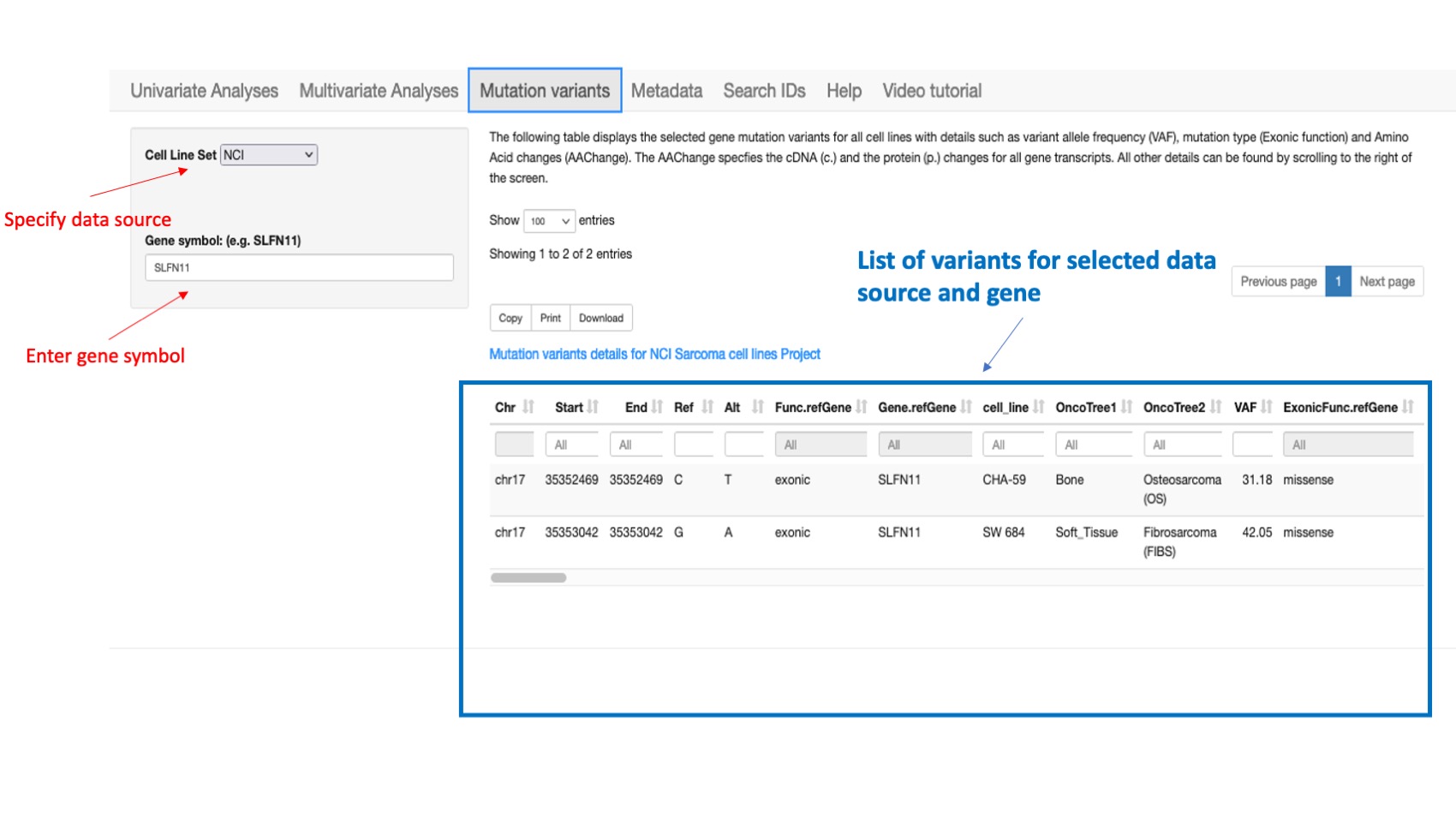 Screenshot of CellMinerCDB Application