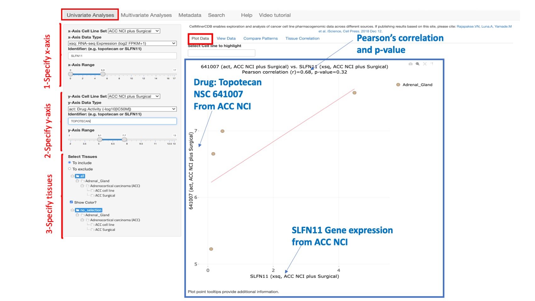 Screenshot of CellMinerCDB Application