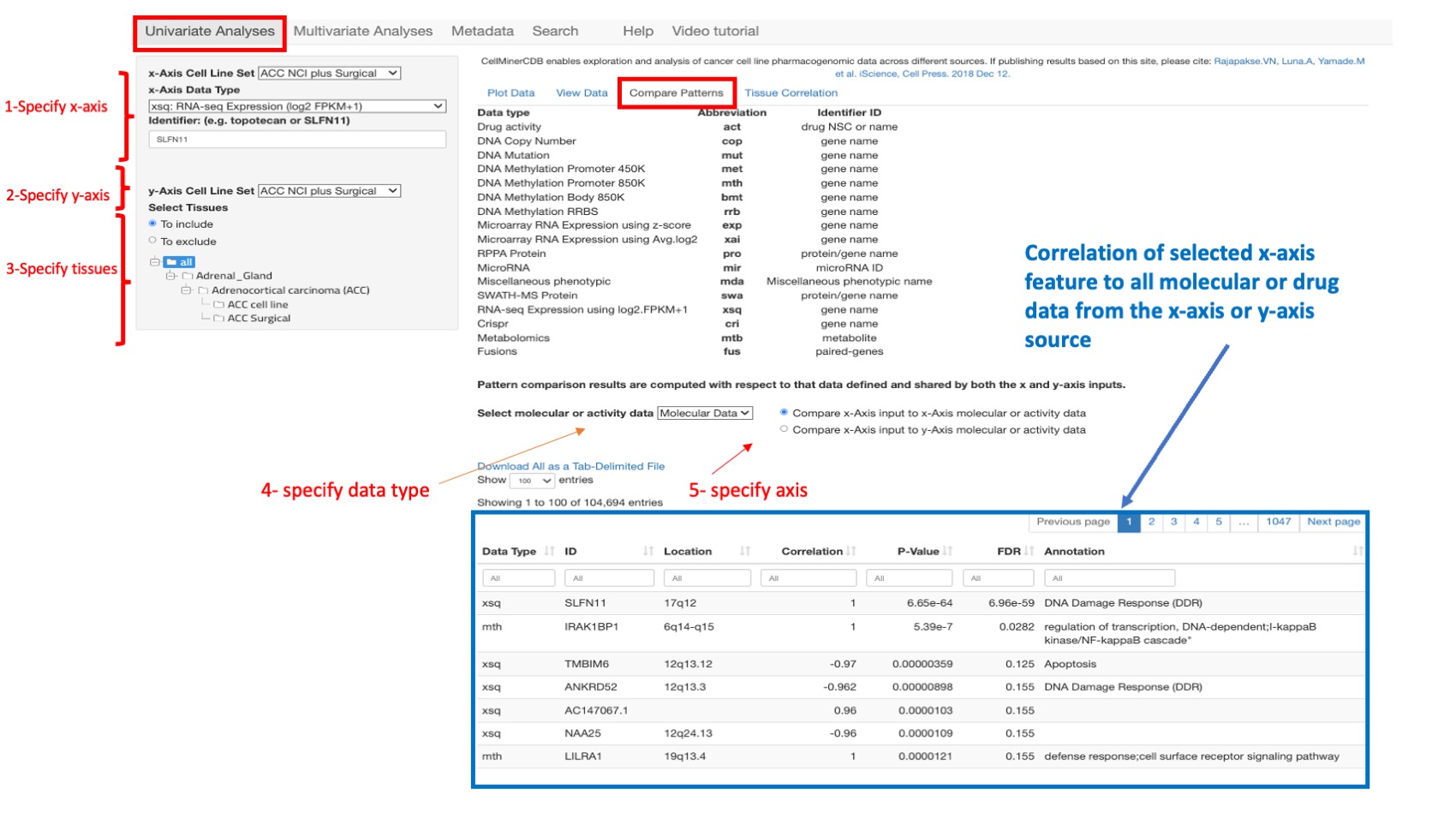 Screenshot of CellMinerCDB Application