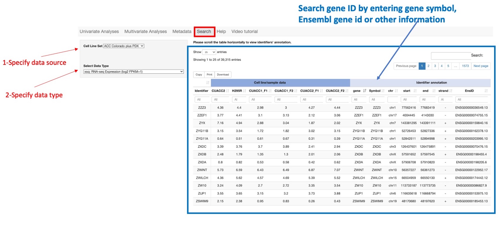 Screenshot of CellMinerCDB Application