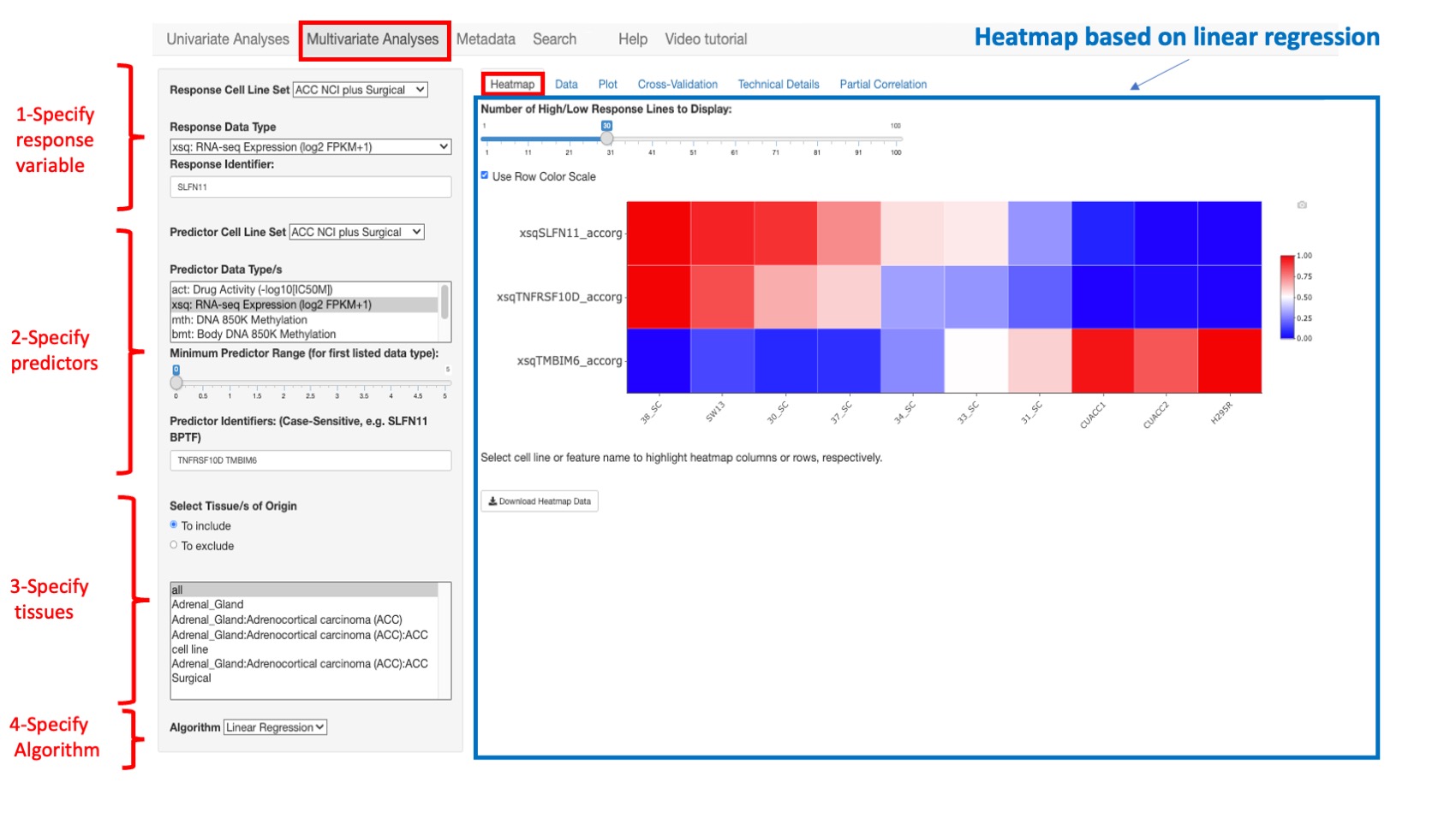 Screenshot of CellMinerCDB Application