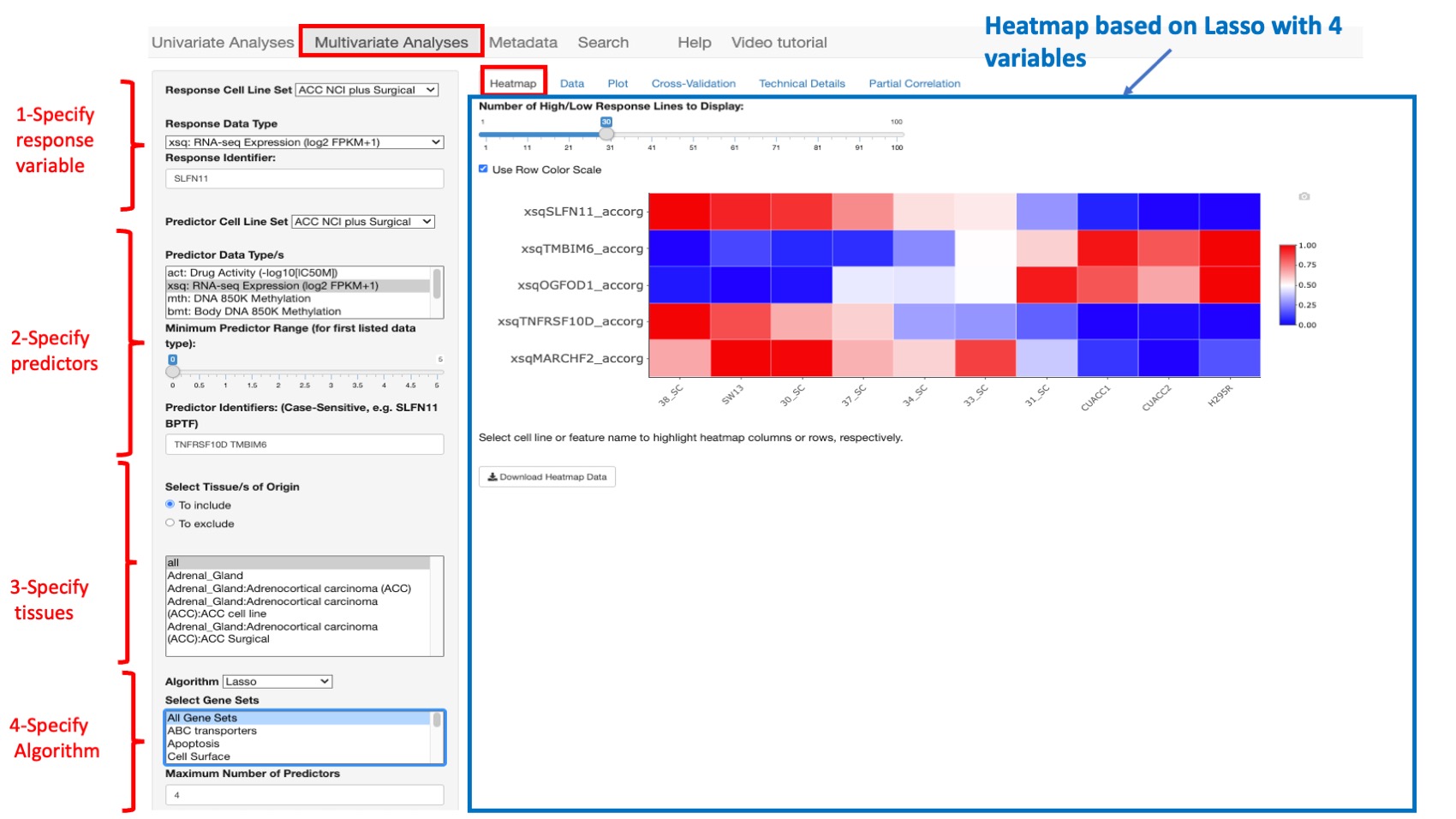 Screenshot of CellMinerCDB Application