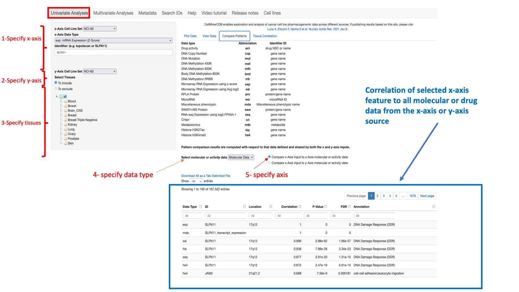 Screenshot of CellMinerCDB Application