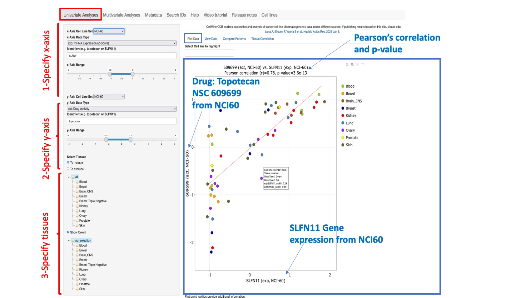 Screenshot of CellMinerCDB Application