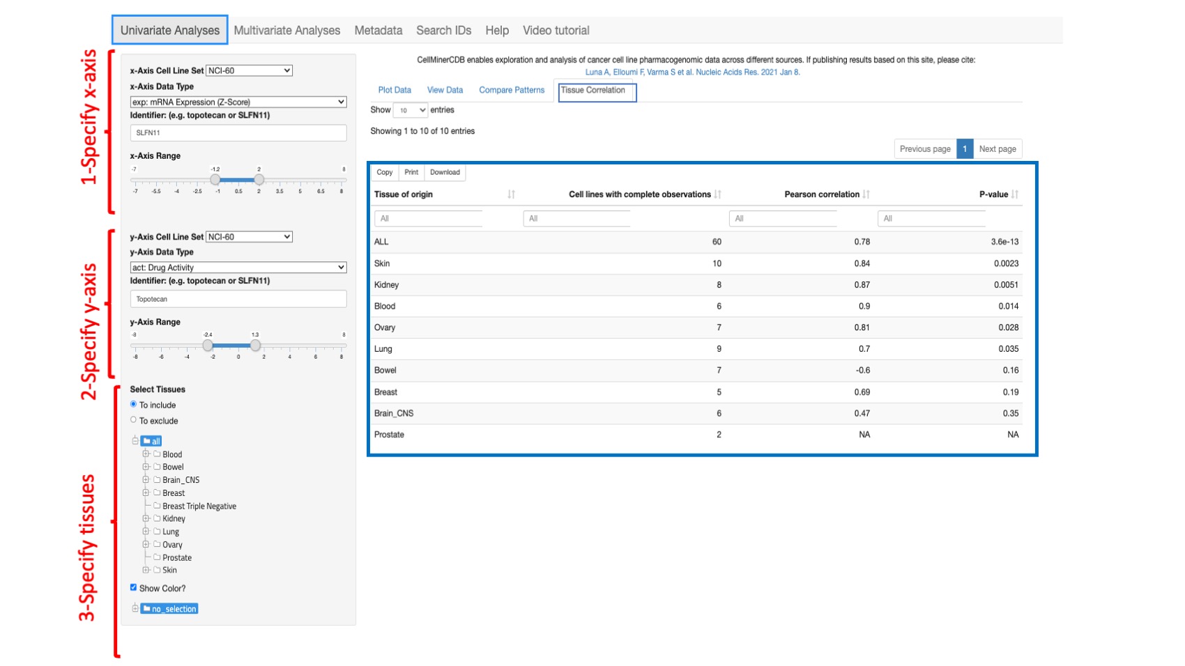 Screenshot of CellMinerCDB Application