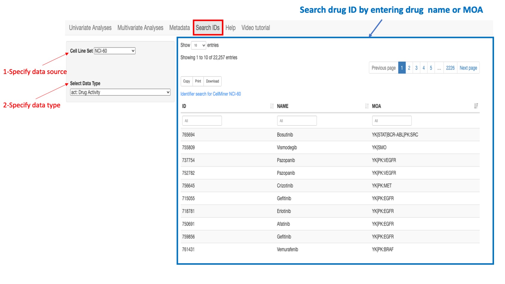 Screenshot of CellMinerCDB Application