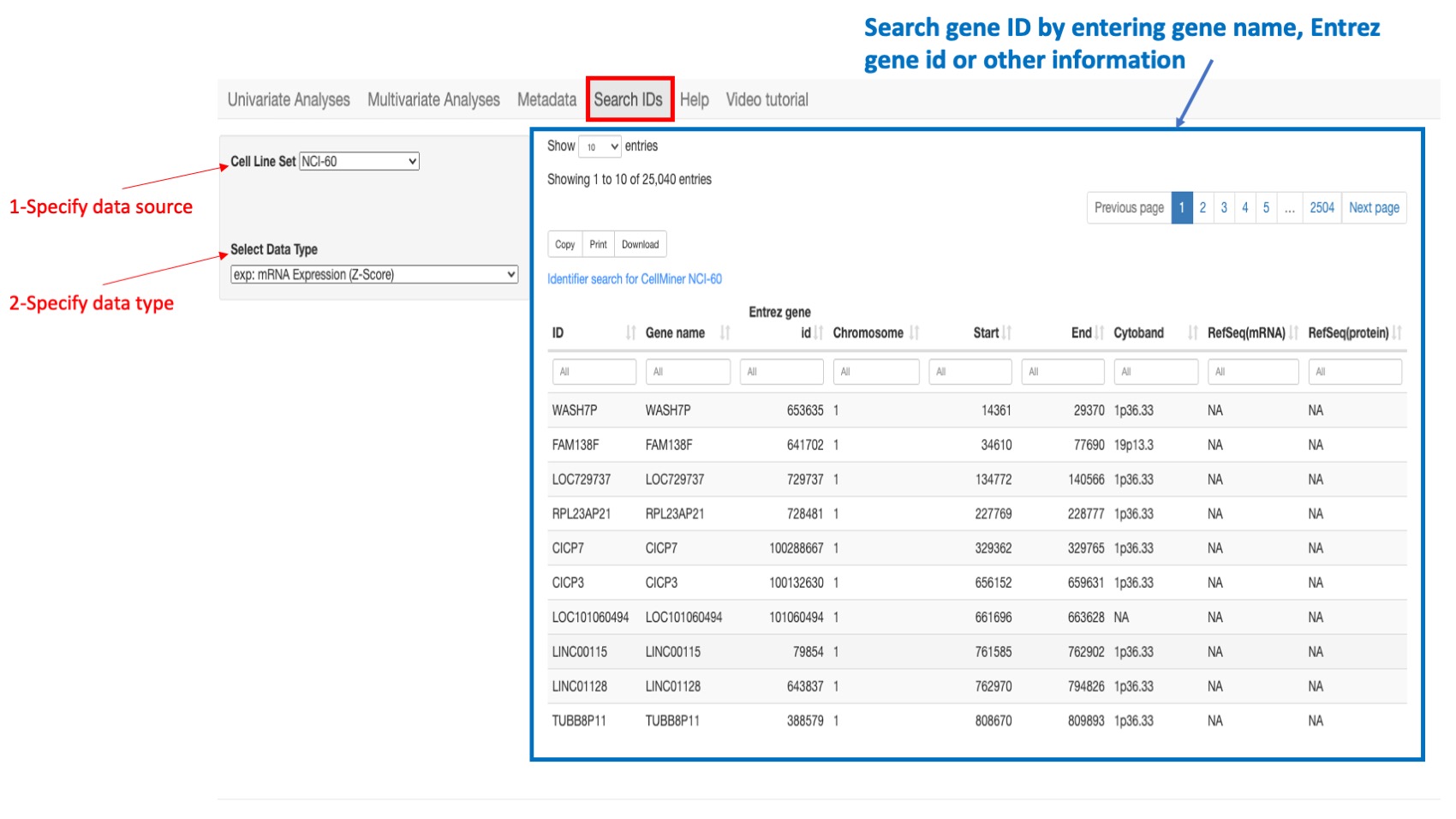 Screenshot of CellMinerCDB Application