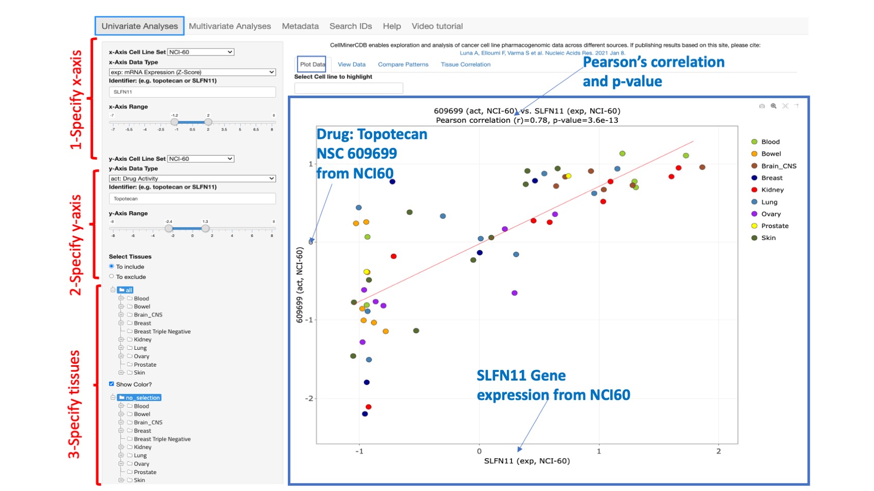 Screenshot of CellMinerCDB Application