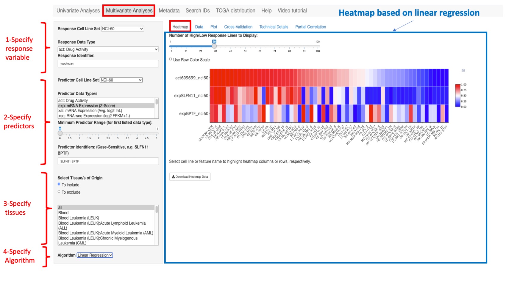 Screenshot of CellMinerCDB Application